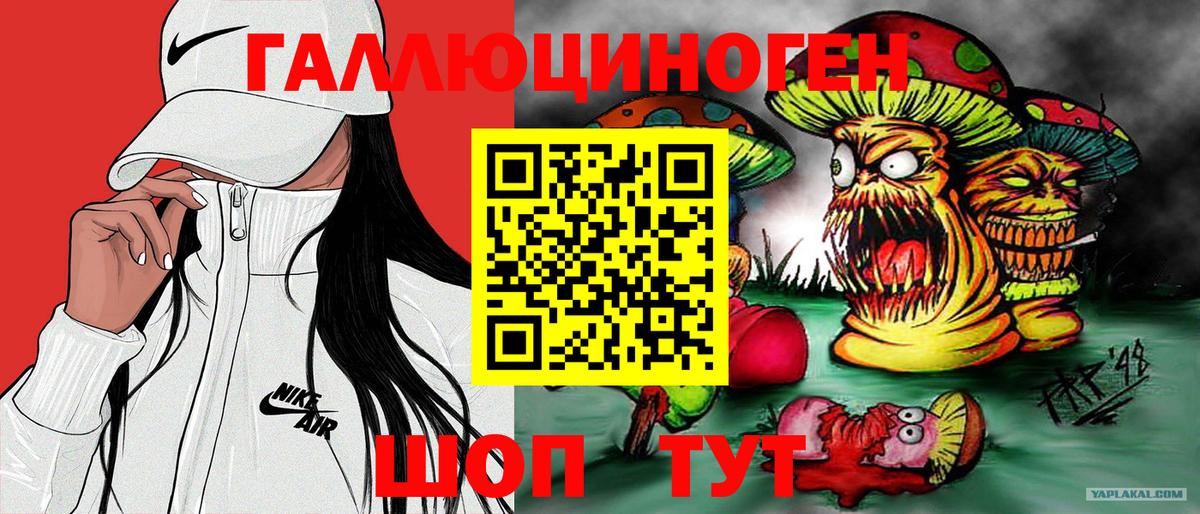Галлюциногенные грибы Psilocybe Углич