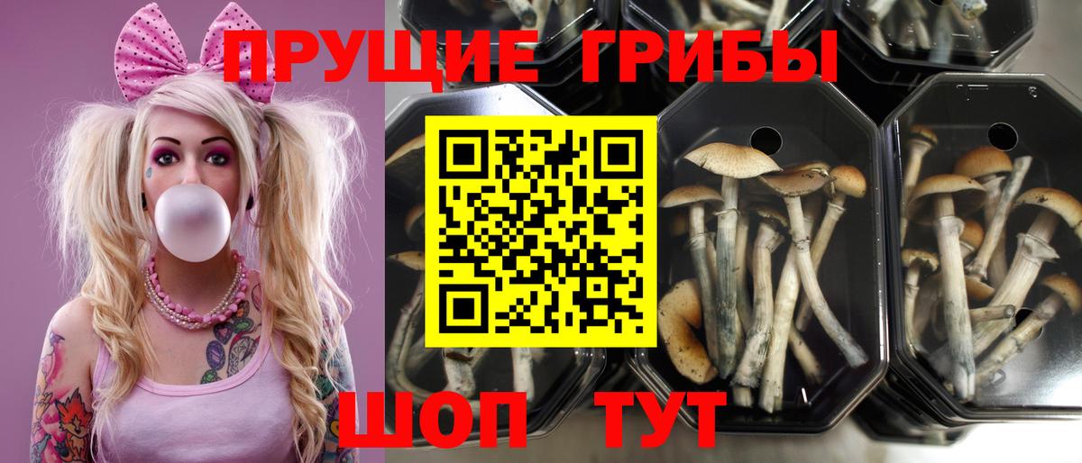 А ПВП Углич